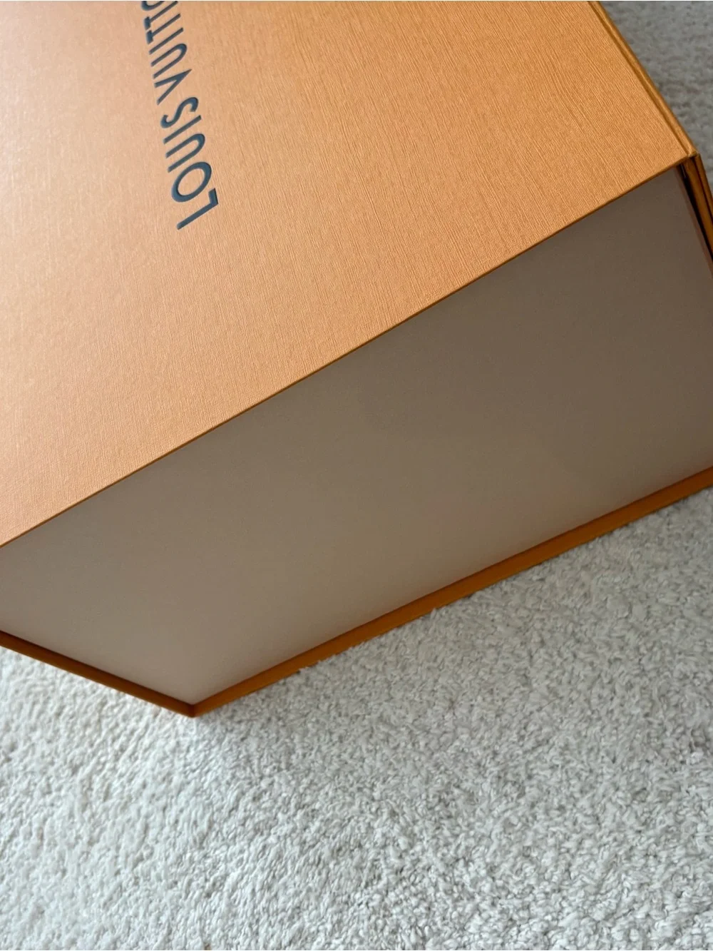 Louis Vuitton classic louis